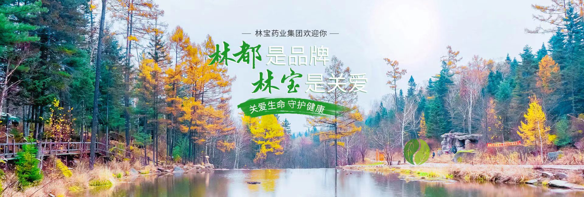 幻燈2